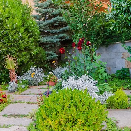 Vista виста Guest house