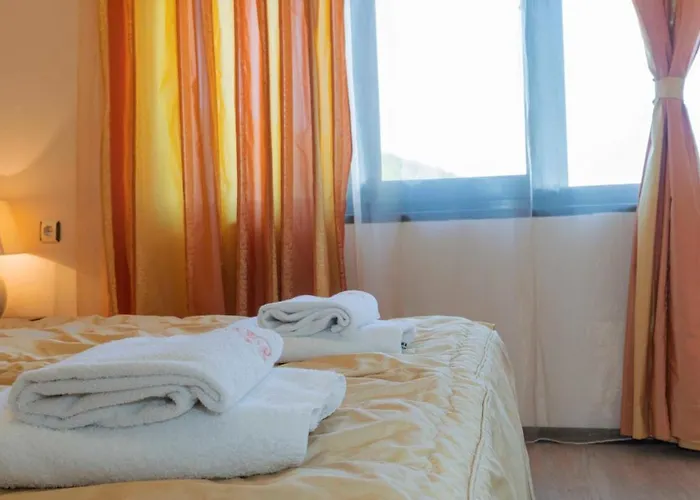 Vista виста 招待所