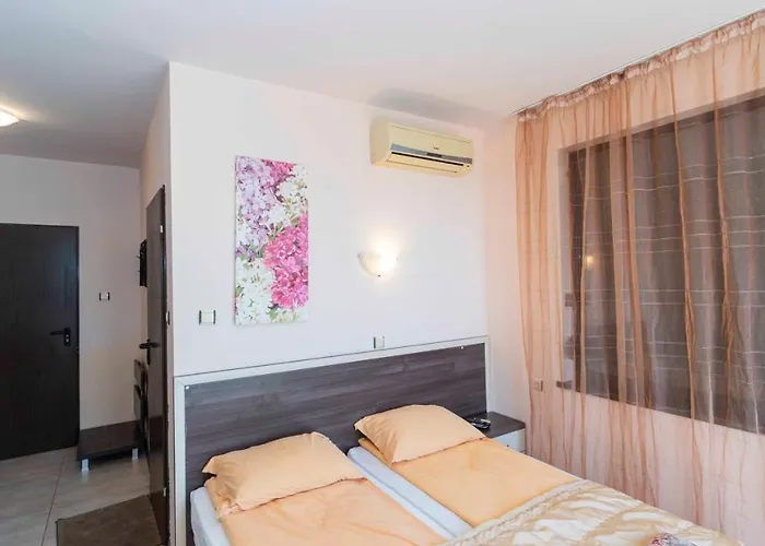 Vista виста 招待所 圣弗拉斯