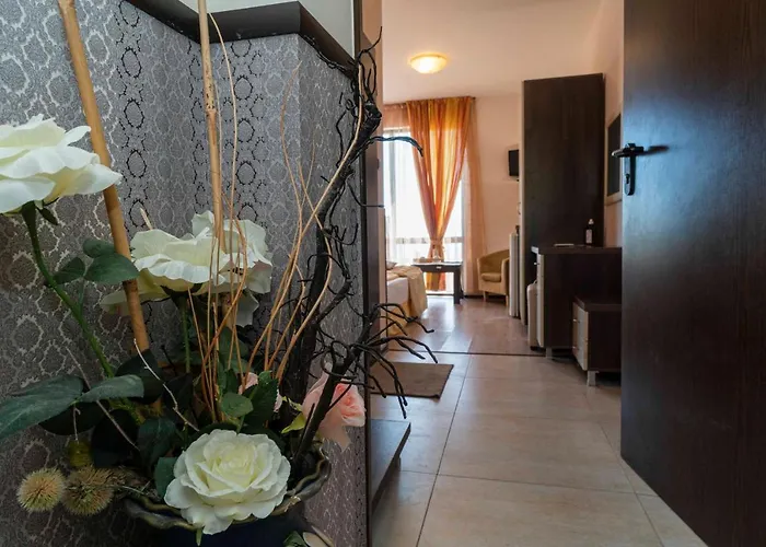 Vista виста 招待所 圣弗拉斯