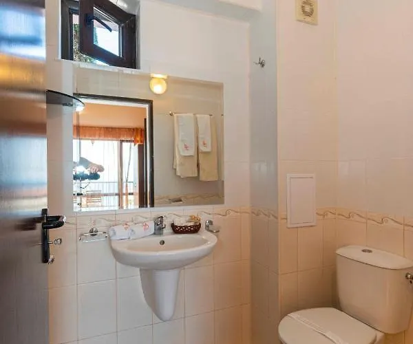 Vista виста 招待所