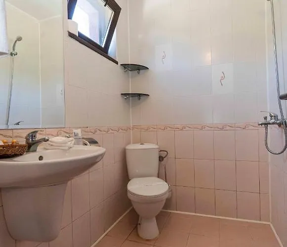 Vista виста 圣弗拉斯