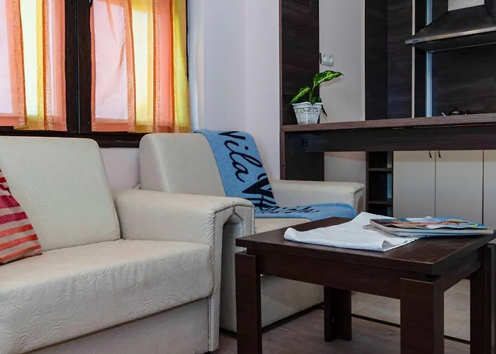 Vista виста 招待所 4*