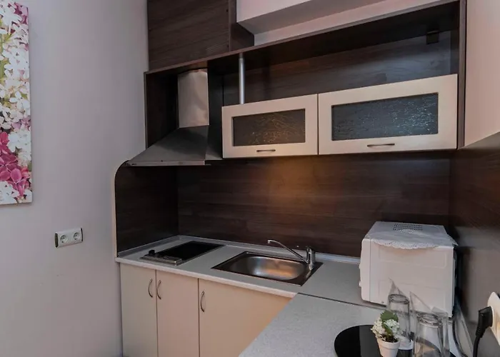 Vista виста 圣弗拉斯